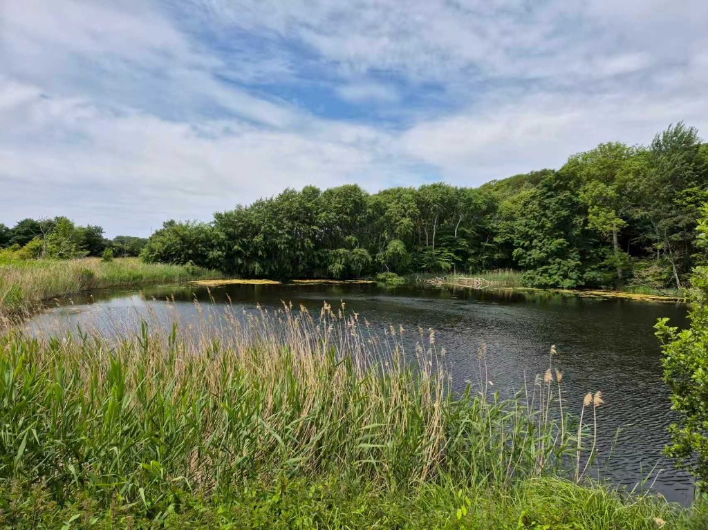 Constructing wetland reservoirs to secure agriculture production on Samsø island, Denmark